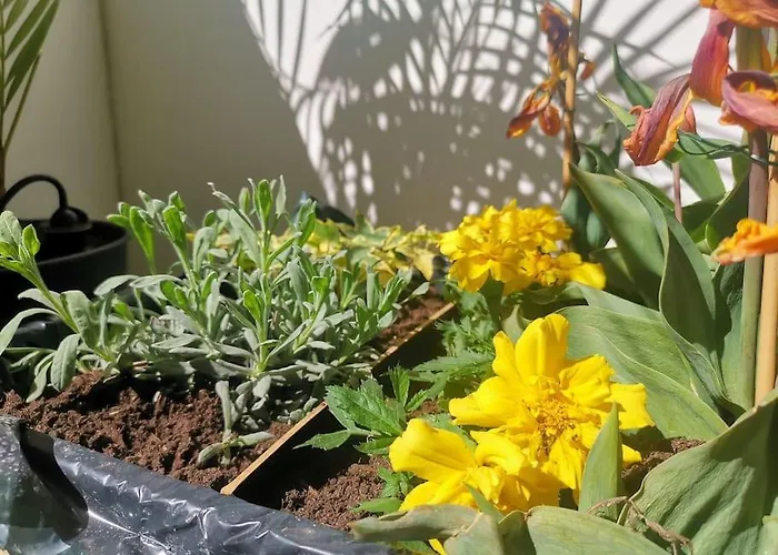 Chez Habitant Proche Metro Homestay