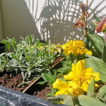 Chez Habitant Proche Metro ホームステイ